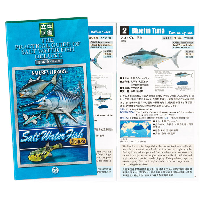 楽天市場】サカナ 海水魚 リアル フィギュア 立体図鑑 ソルト