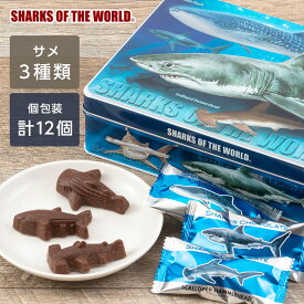 サメのチョコ 12個入 パフ入りチョコ シャークス チョコレート | ギフト お返し 菓子 お菓子 おかし スイーツ すいーつ チョコ ちょこ 友チョコ クリスマス プレゼント 交換 バレンタイン 誕生日 子ども 子供 キッズ 男子 男の子 ホホジロザメサメ 鮫