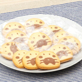 動物クッキー ゴマフアザラシ アイスボックスクッキー 12枚入