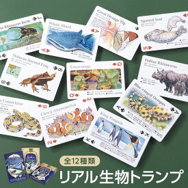 リアル 生物 トランプ クイズ付き | ペンギン 鮫 魚 両生類 爬虫類 カエル 恐竜 昆虫 蝶 動物 海洋性哺乳類 海 哺乳動物 ほ乳類 水族館 子供 知育玩具 ゲーム トランプカード カード 知育 こども ギフト 人気 男の子 プレゼント 贈り物 クリスマス 小学生 幼稚園 保育園