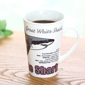 サメ マグカップ サイエンス マグカップ ホホジロザメ 350ml