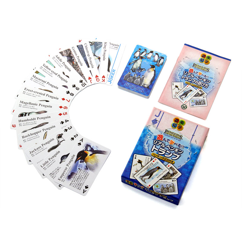 クイズに正解して、相手よりカードを多く集めた人が勝ち！リアルなイラストとともに、14種の『ペンギン』の名前や特徴を学べる「遊んで学べるトランプ」 リアル ペンギン トランプ ペンギン クイズ付き | ぺんぎん 鳥 水族館 動物園 子供 知育玩具 ゲーム トランプカード カードゲーム 知育ゲーム こども 動物 教育 学習ゲーム ギフト 人気 男の子 男性 BOX プレゼント クリスマスギフト 贈り物 クリスマス 小学生 幼稚園 保育園