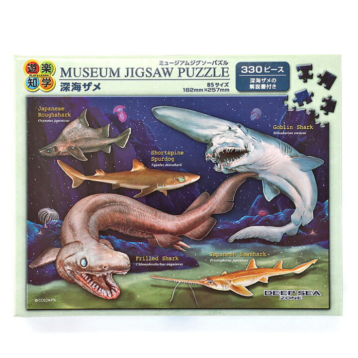楽天市場 生物 ミュージアム ジグソーパズル 深海ザメ B5サイズ 330ピース 動物 ゲーム 魚類 サメ 鮫 深海生物 ラブカ カロラータ