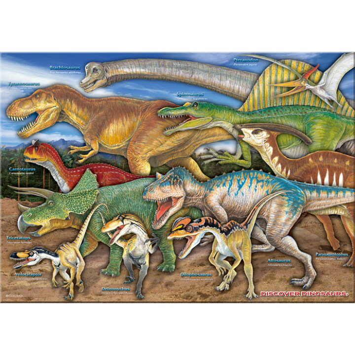 楽天市場 恐竜 ミュージアム ジグソーパズル 恐竜 A3サイズ 7ピース 生物 ゲーム ティラノサウルス トリケラトプス カロラータ