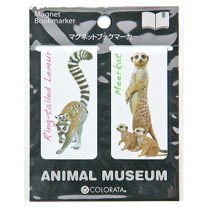  x ILclUeq~[ALbgeq }Olbg ubN}[J[ 2b