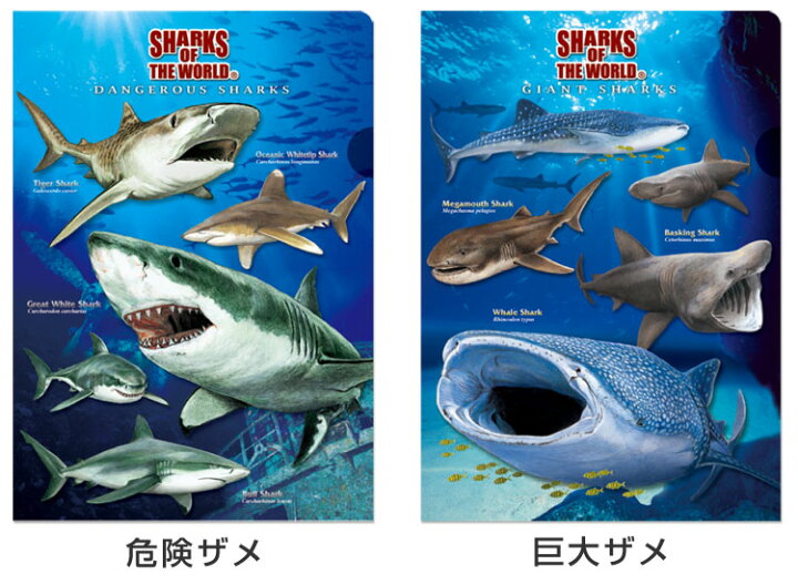 楽天市場 動物 恐竜 昆虫 クリアケース クリアファイル クリアホルダー カロラータ