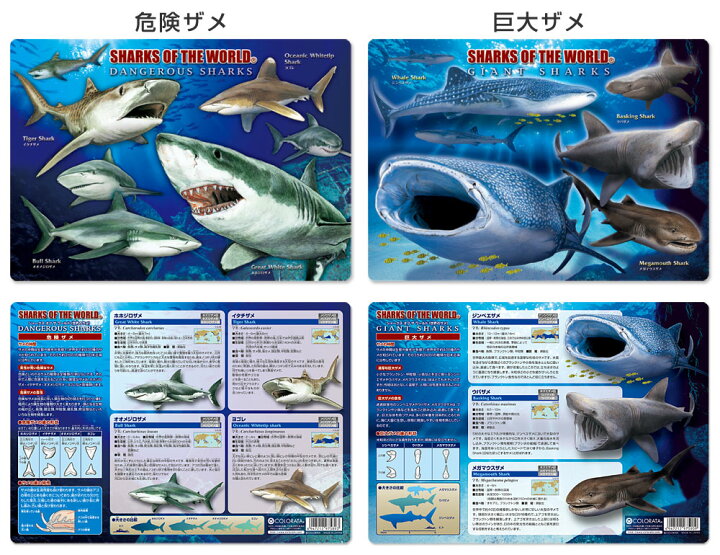楽天市場 動物 恐竜 昆虫 下敷き アニマルガイドシート カロラータ 楽天市場 動物 恐竜 昆虫 下敷き アニマルガイドシート カロラータ