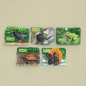  ΂̐ 3D }Olbg ioNCiAoeiKRKlAELE}KAVKjAILiCVJKGj