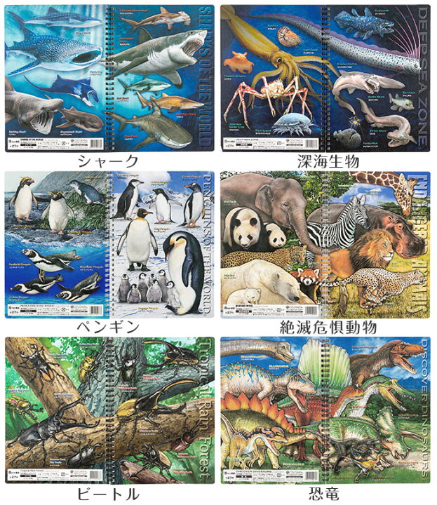 楽天市場 横罫 リングノート セミb5 学用3号 幅広 8mm 横罫 サメ 絶滅危惧動物 ペンギン 恐竜 カブトムシ クワガタムシ 深海生物 カロラータ