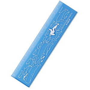 y J[K15cm C̚Mށic4cmj [zXe[Vi[  ĈǂԂ 邩