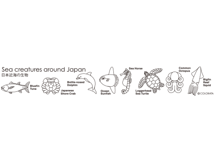 楽天市場 生物 カラー定規15cm 日本近海の生物 縦3 3cm 文房具 ステーショナリー 文具 動物 魚類 海のどうぶつ いるか カメ カロラータ 楽天市場 生物 カラー定規15cm 日本近海の生物 縦3 3cm 文房具 ステーショナリー 文具 動物 魚類 海のどうぶつ いるか カメ カロラータ
