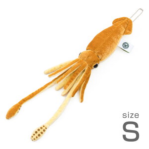 _CIECJ STCY ʂ {[`F[t [C