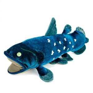 シーラカンス Mサイズ ぬいぐるみ | 古代魚 深海魚 深海生物 サカナ さかな 釣り 縫いぐるみ どうぶつ 赤ちゃん ベビー 子供 こども 抱き枕 人形 おもちゃ 可愛い かわいい だき枕 だきまくら 