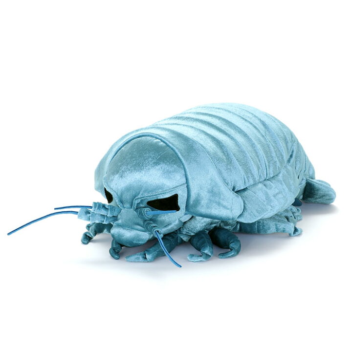 楽天市場 ダイオウグソクムシ 動物 ぬいぐるみ 深海生物 大型 グッズ 海の生き物 おもちゃ 子供 誕生日プレゼント こども キッズ 3歳 4歳 5歳 6歳 7歳 8歳 幼児 小学生 男の子 女の子 オモチャ 玩具 インテリア 大人 贈り物 ギフト プレゼント 誕生日 かわいいぬいぐるみ