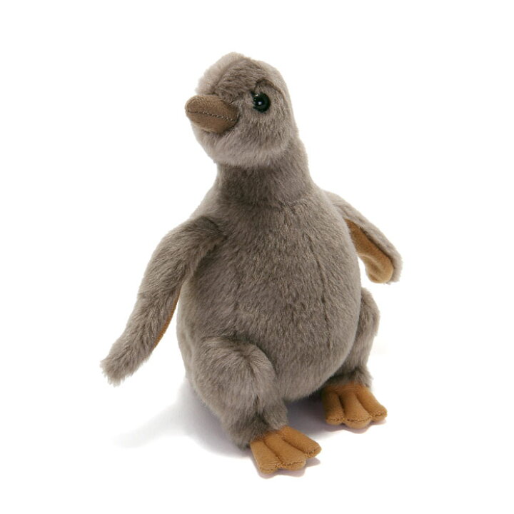 楽天市場 ペンギン ぬいぐるみ フンボルトペンギン ヒナ リアルペンギンファミリー リアル 動物 雛 赤ちゃん クリスマス 誕生日 プレゼント ギフト かわいい 子供 カロラータ