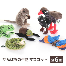 ぬいぐるみマスコット やんばるの生物 全6種 | ヤンバルクイナ親子 ハブ オキナワイシカワガエル ヤンバルテナガコガネ コノハチョウ ケナガネズミ 鳥 蛇 へび 巳 爬虫類 蛙 両生類 蝶 昆虫 鼠 哺乳類 沖縄 おきなわ 日本固有種 山原 キーホルダー ボールチェーン