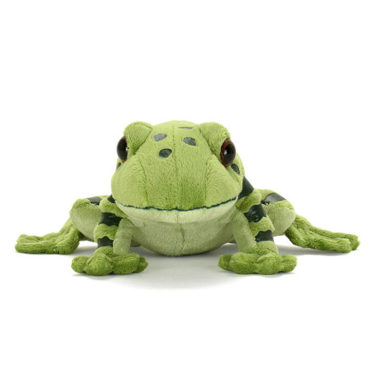 楽天市場 カエル ぬいぐるみ オキナワイシカワガエル やんばるの生物 リアル 沖縄 カエルぬいぐるみ 蛙 フロッグ カエルグッズ 縫いぐるみ どうぶつ 赤ちゃん ベビー こども 抱き枕 可愛い かわいい だき枕 だきまくら ウェルカムドール 男の子 クリスマス 癒し 誕生日