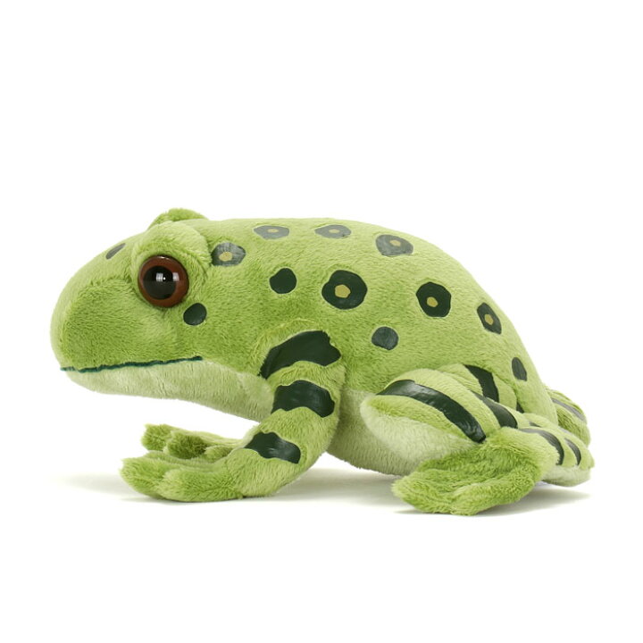 楽天市場 カエル ぬいぐるみ オキナワイシカワガエル やんばるの生物 リアル 沖縄 カエルぬいぐるみ 蛙 フロッグ カエルグッズ 縫いぐるみ どうぶつ 赤ちゃん ベビー こども 抱き枕 可愛い かわいい だき枕 だきまくら ウェルカムドール 男の子 クリスマス 癒し 誕生日