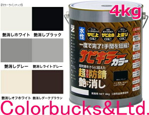 yhK TrL[J[zy4kgzy eFzy4kg/4LzyTrL[vV[YzBANZI@BAN-ZITrL[PROJ[/TrLJ[TrL[V[Yŋ̖hKʂւ鐅