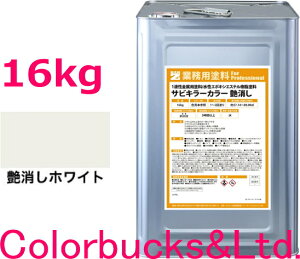 yhK TrL[J[zyzCg/zy16kg/16LzyTrL[vV[YzBANZI@BAN-ZITrL[PROJ[/TrLJ[TrL[V[Yŋ̖hK