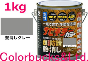 yhK TrL[J[zy1kgzy O[zy1kg/1LzyTrL[vV[YzBANZI@BAN-ZITrL[PROJ[/TrLJ[TrL[V[Yŋ̖hKʂւ鐅