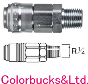 ANEST IWATA@AlXgcAJQ-02SMyX[p[Jv@\PbgzR1/4(PT1/4)IlWMEDEA@AlXgcLx CAMPBELL@GA[Xv[KȂǂ