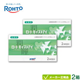 ロートモイストアイ 乱視用 2箱セット( ロート製薬 2週間使い捨て コンタクトレンズ ロート モイストアイ 2week 乱視用 トーリック) rt2w0202