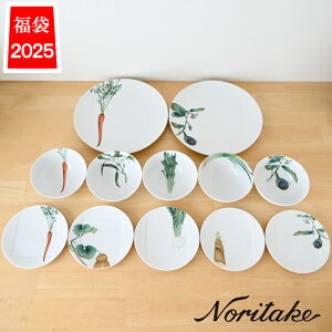 yʌzH  2026 m^P 1620L/26F10 { noritake mH uh  HZbg {E v[g M   RX coloris