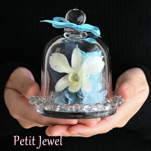 v`WG m  23001-001 vU[uht[ KXh[ Mtg ~j a ސEj t[ uU[h v[g hCt[ CeA   h[  ͂