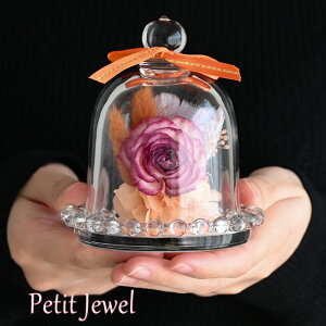 v`WG o IW 23001-003 vU[uht[ KXh[ Mtg ~j a ސEj t[ uU[h v[g hCt[ CeA   h[  