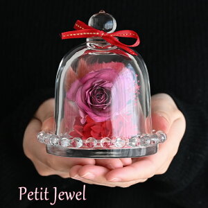 v`WG o  23001-004 vU[uht[ KXh[ Mtg ~j a ސEj t[ uU[h v[g hCt[ CeA   h[  ͂