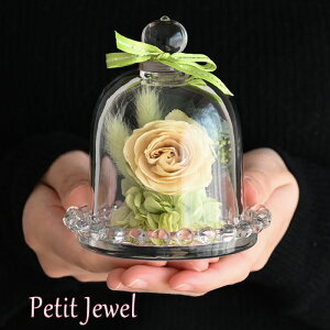 �v�`�W���G�� �o�� �� 23001-007 �v���U�[�u�h�t�����[ �K���X�h�[�� �M�t�g �~�j �a���� �ސE�j�� �t�����[ �u���U�[�h �v���[���g �h���C�t�����[ �C���e���A ������� ���� �h�[�� �� �͂��