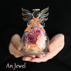 AWG o 23002-003 o vU[uht[ KXh[ Mtg ~j a ސEj t[ uU[h v[g hCt[ CeA   h[  ͂