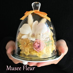 ~[t[ m } o 23003-003 o vU[uht[ KXh[ Mtg ~j a ސEj t[ uU[h v[g hCt[ CeA   h