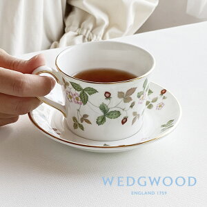 EFbWEbh Ch Xgx[ eB[Jbv&\[T[ (ftB) 200ml 1053375 wedgwood NX}X v[g Jbv\[T[ eB[Jbv  \[T[ qM uh a 