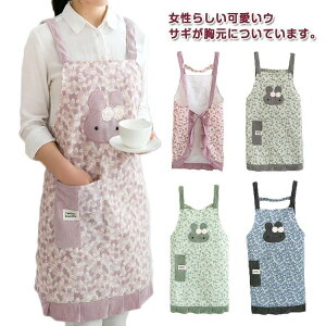 Gv  fB[X ԕ ETM Gv h^ V[g ۈm Ǝ  m K  K ̓ pI 