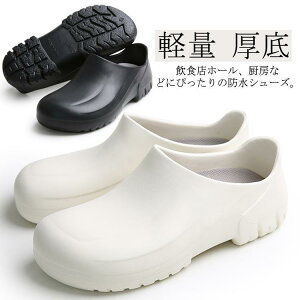 RbNV[Y ~[V[Y y Lb`V[Y Y fB[X RbN V[Y [NV[Y h ƌC  Xb| ɂ