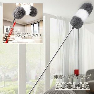 nfBbv |pi bv 245cm 78cm Lk Obv Ȃ R ό` ق ͂    GAR