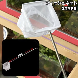 tBbVlbg Lk ӏ܋p  Mы   lp^ ی^ | ւ S~ ړ  ANAEpi