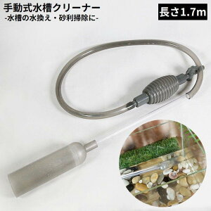 N[i[ 1.7m |v ꍻN[i[ 蓮 TCtH  ւ | | 