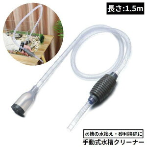 N[i[ 1.5m |v ꍻN[i[ 蓮 TCtH  ւ | | 