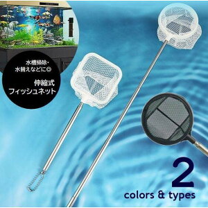 tBbVlbg ӏ܋p  Mы   Lk lp^ ی^ | ւ S~ ړ  ANAEpi ubN