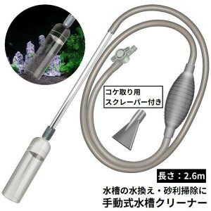 N[i[ 2.6m |v ꍻN[i[ 蓮 TCtH  ւ | | 