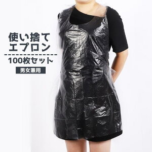 ĝăGv 100Zbg Hp jp l h h~ | K h NA  n PF Vv