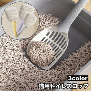 LpgCXRbv LXRbv LVx ThXRbv ybgpi lR Lbg gC|  y Vv