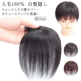 送料無料 ウィッグ 部分ウィッグ 人毛100％ 白髪隠し 長15cm ヘアピース ミセス 自然 部分かつら 薄毛対策 増毛 つけ毛 女性用 かつら 頭
