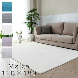 ���O �J�[�y�b�g ���� �ᔽ�����O �Ɍ�40x60�@ 120×180 ���O�}�b�g �I�[���V�[�Y�� �t �� �H�~�@�h�� �O�~ �������