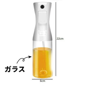 p IC{g ICXv[ tꂵȂ  IC  | ݖ{g 