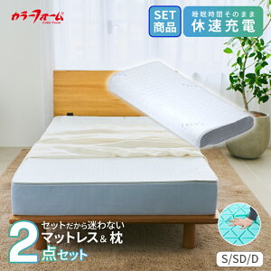 yZbgizt@Zbg xbh}bgXt@Zbgs[xbh VO _u Z~_u 20cm  ܂   􂦂Jo[ QԂ   ϋv  { 