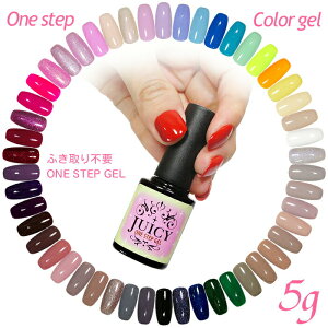 ワンステップジェル 拭き取り不要 ポリッシュジェル ジェルネイルカラー ジェルネイル 簡単 セルフ ワンステップカラージェル ソークオフジェル セルフネイル カラージェル ジェルネイル